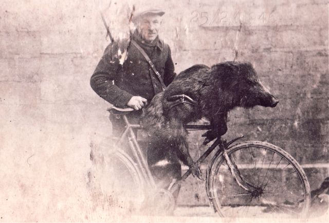 Boer Bergmans leerde de dieren uit het bos om in geval van noodweer met de fiets te ontsnappen.